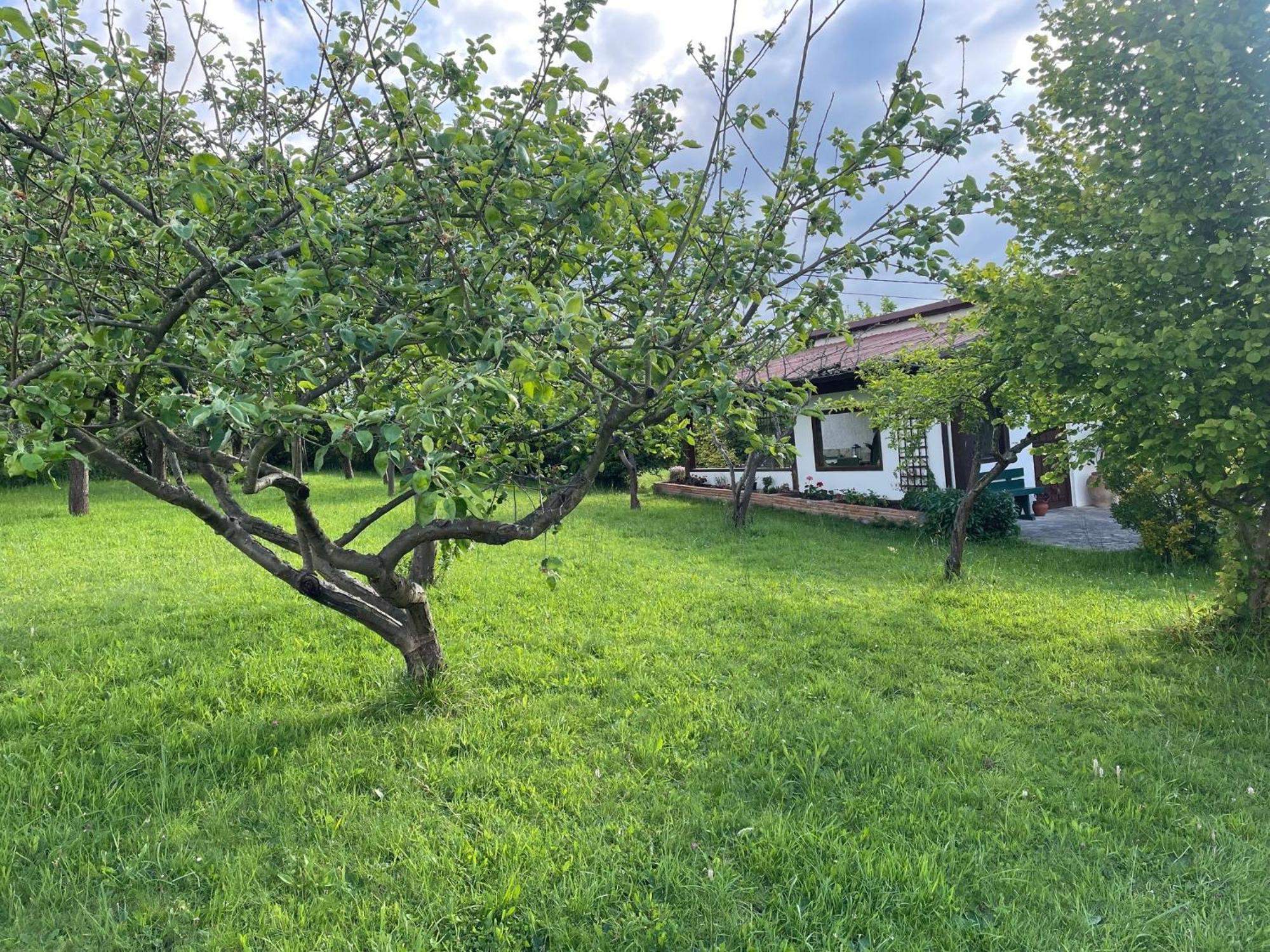 Casa Benjamin Villa Oviedo Kültér fotó